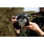 CANON EOS R7 + RF-S 18-150mm F3.5-6.3 IS STM Hybridkamera – Bild 2